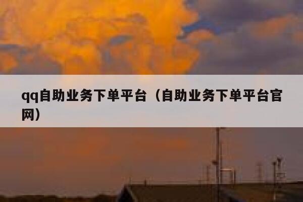 qq自助业务下单平台（自助业务下单平台官网）