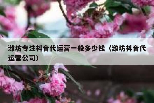 潍坊专注抖音代运营一般多少钱（潍坊抖音代运营公司）