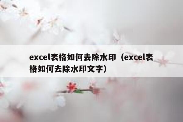 excel表格如何去除水印（excel表格如何去除水印文字）