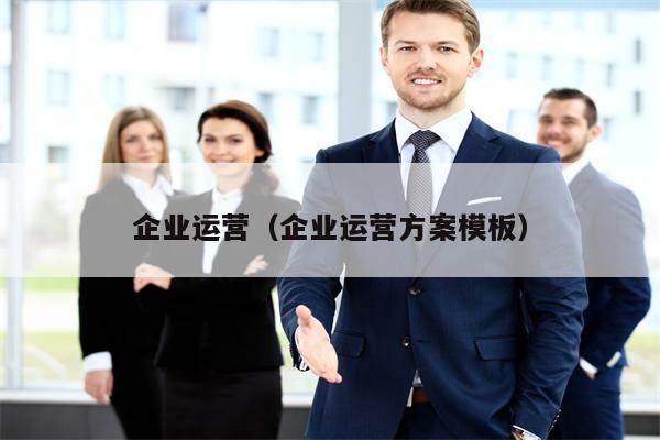 企业运营（企业运营方案模板）