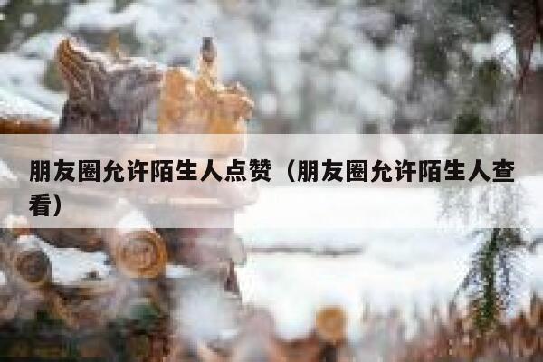 朋友圈允许陌生人点赞（朋友圈允许陌生人查看）