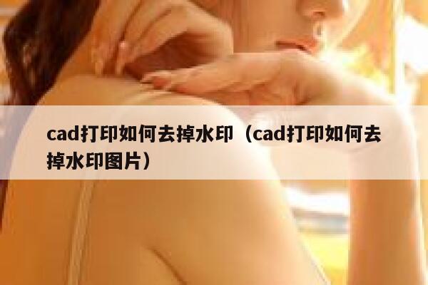 cad打印如何去掉水印（cad打印如何去掉水印图片）