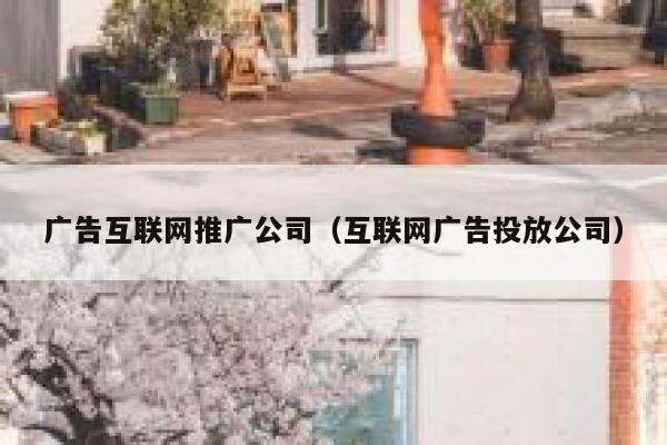 广告互联网推广公司（互联网广告投放公司）