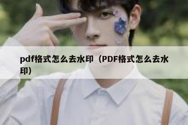 pdf格式怎么去水印（PDF格式怎么去水印）