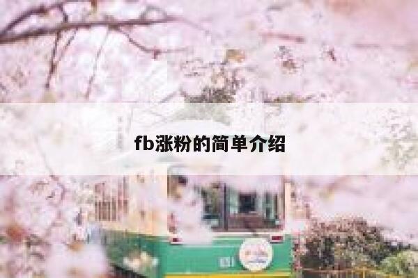 fb涨粉的简单介绍