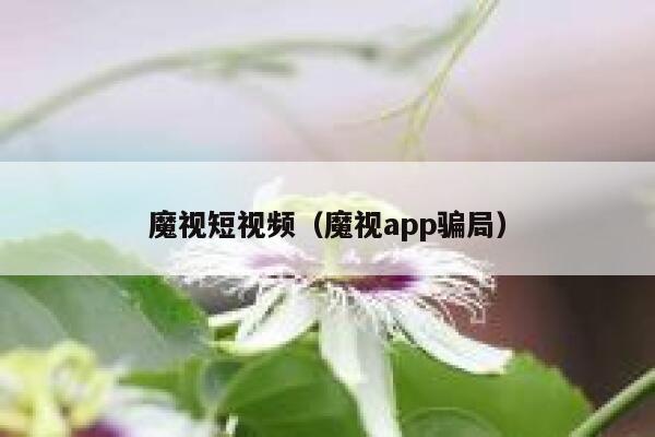 魔视短视频（魔视app骗局）