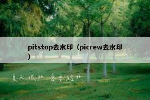 pitstop去水印（picrew去水印）