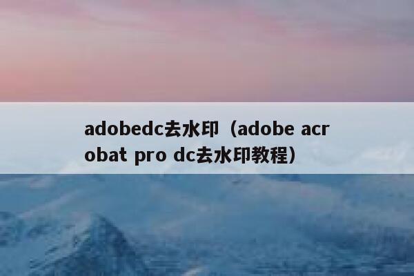 adobedc去水印（adobe acrobat pro dc去水印教程）