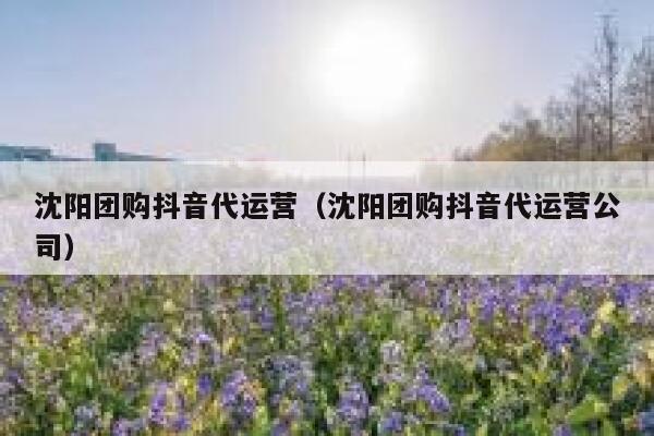 沈阳团购抖音代运营（沈阳团购抖音代运营公司）