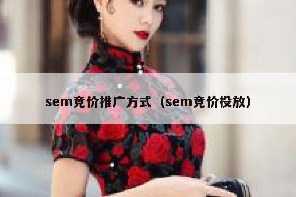 sem竞价推广方式（sem竞价投放）