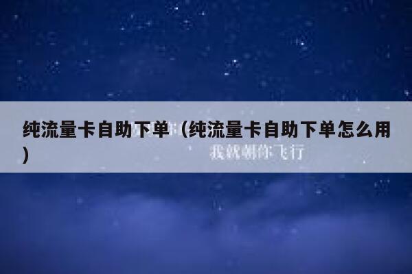 纯流量卡自助下单（纯流量卡自助下单怎么用）