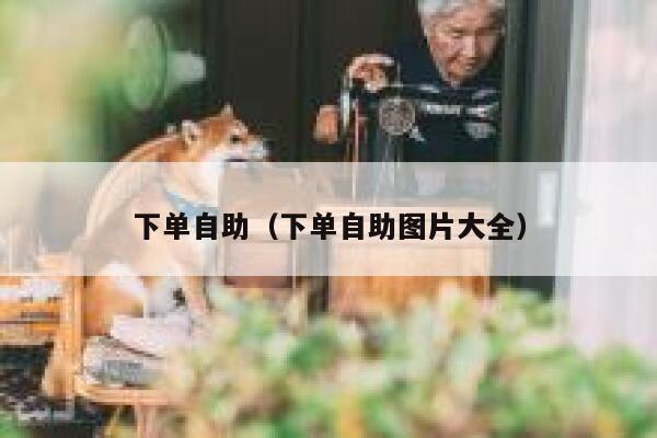 下单自助（下单自助图片大全）