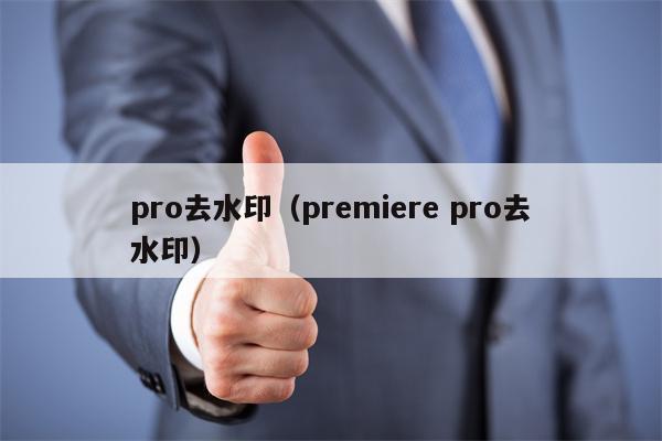 pro去水印（premiere pro去水印）