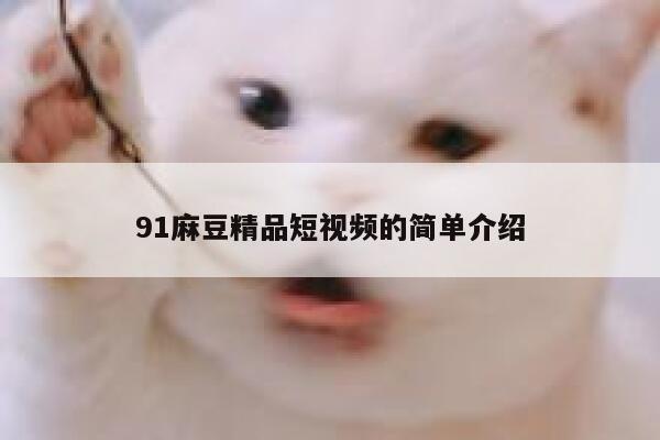 91麻豆精品短视频的简单介绍