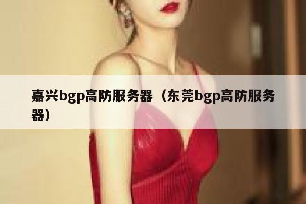 嘉兴bgp高防服务器（东莞bgp高防服务器）