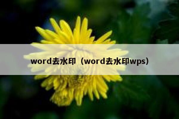 word去水印（word去水印wps）