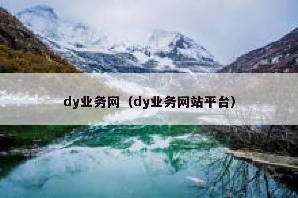 dy业务网（dy业务网站平台）