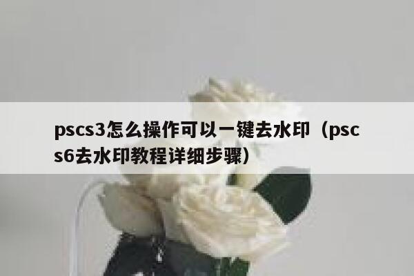 pscs3怎么操作可以一键去水印（pscs6去水印教程详细步骤）