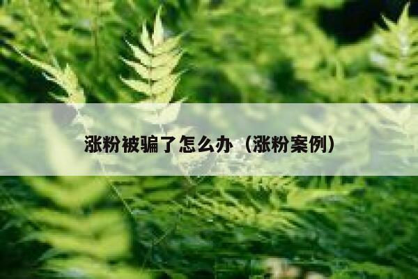 涨粉被骗了怎么办（涨粉案例）