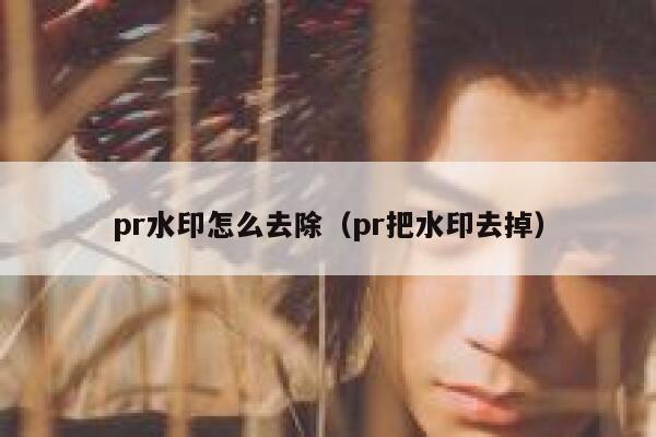 pr水印怎么去除（pr把水印去掉）