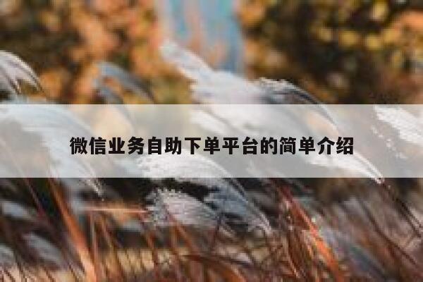 微信业务自助下单平台的简单介绍