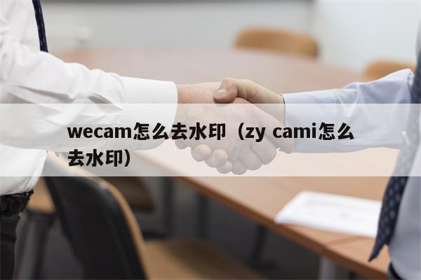 wecam怎么去水印（zy cami怎么去水印）