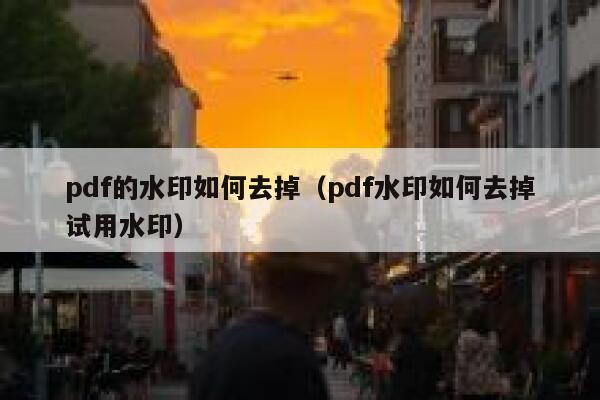 pdf的水印如何去掉（pdf水印如何去掉试用水印）