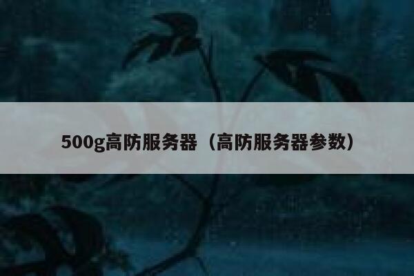 500g高防服务器（高防服务器参数）