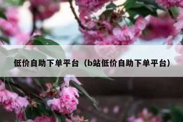 低价自助下单平台（b站低价自助下单平台）