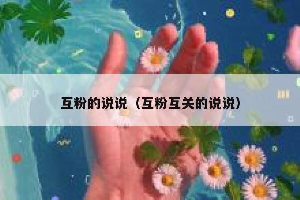 互粉的说说（互粉互关的说说）