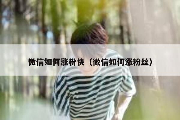 微信如何涨粉快（微信如何涨粉丝）