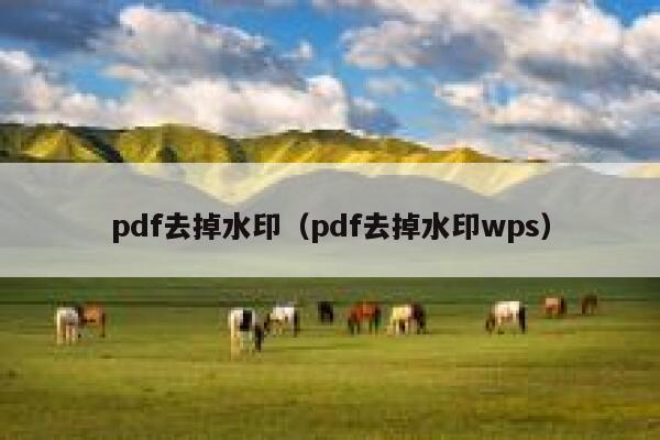 pdf去掉水印（pdf去掉水印wps）