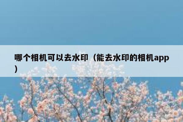 哪个相机可以去水印（能去水印的相机app）