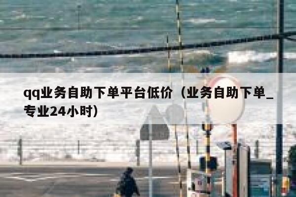 qq业务自助下单平台低价（业务自助下单_专业24小时）