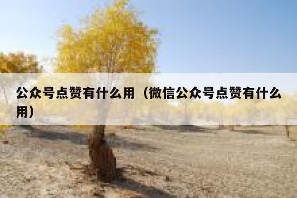 公众号点赞有什么用（微信公众号点赞有什么用）