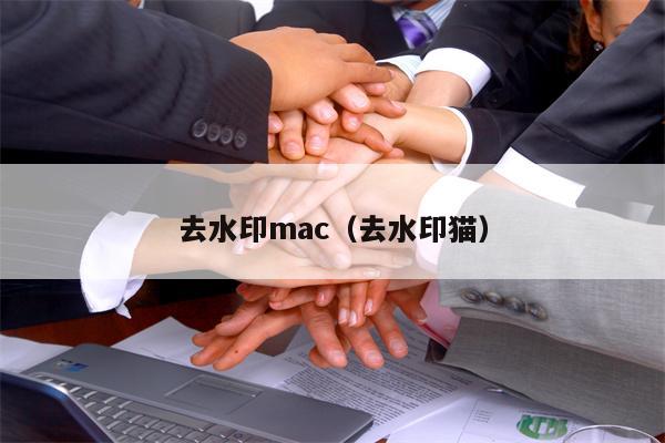 去水印mac（去水印猫）