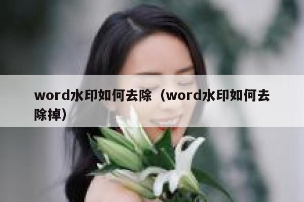 word水印如何去除（word水印如何去除掉）