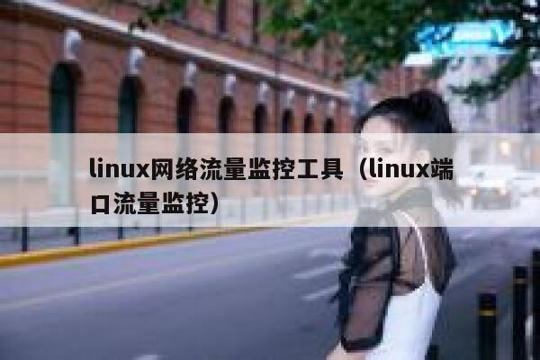 linux网络流量监控工具（linux端口流量监控）