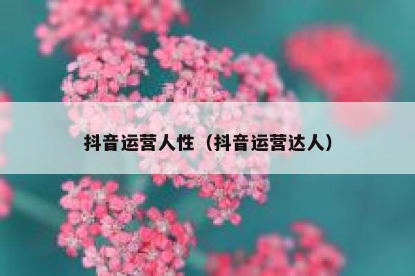 抖音运营人性（抖音运营达人）