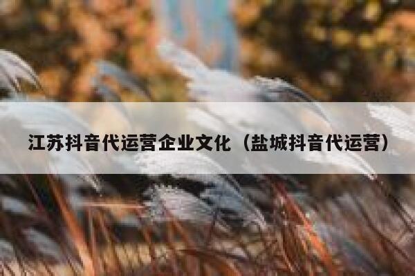 江苏抖音代运营企业文化（盐城抖音代运营）