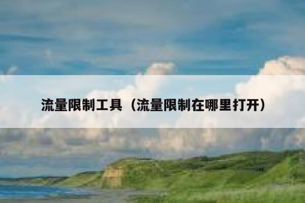 流量限制工具（流量限制在哪里打开）