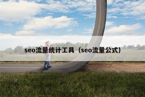 seo流量统计工具（seo流量公式）