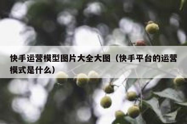 快手运营模型图片大全大图（快手平台的运营模式是什么）