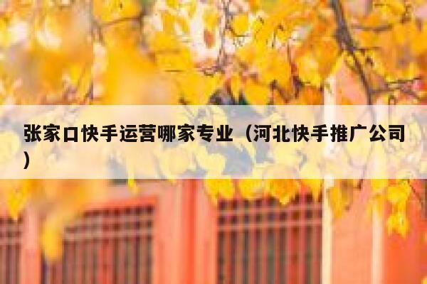 张家口快手运营哪家专业（河北快手推广公司）