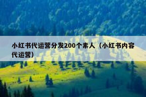 小红书代运营分发200个素人（小红书内容代运营）