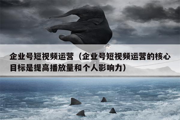 企业号短视频运营（企业号短视频运营的核心目标是提高播放量和个人影响力）