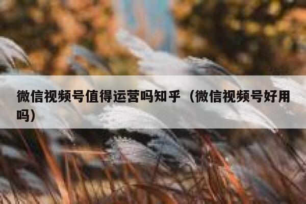 微信视频号值得运营吗知乎（微信视频号好用吗）