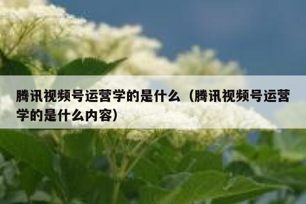 腾讯视频号运营学的是什么（腾讯视频号运营学的是什么内容）