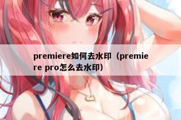 premiere如何去水印（premiere pro怎么去水印）