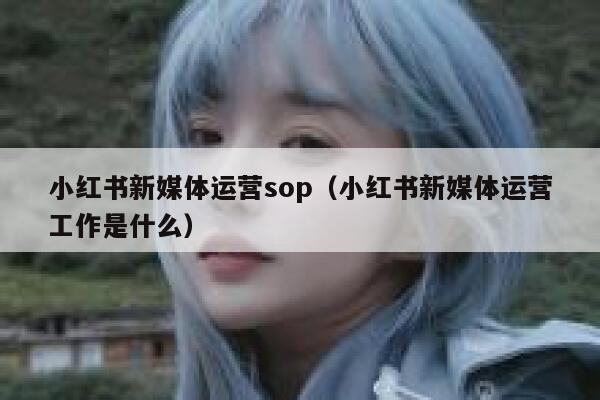 小红书新媒体运营sop（小红书新媒体运营工作是什么）